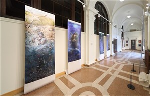 The Water Holds Me: Photographs by Suda House